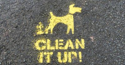 Ards and North Down Borough increases fines for littering and dog fouling by 250 percent