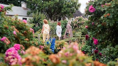 Gardenfest at historic Entally House cancelled hours before it begins amid business deregistration