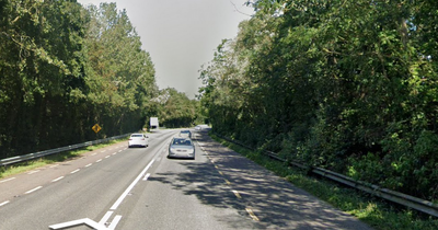 Man dies in horror crash between car and truck in Limerick as gardai shut road overnight