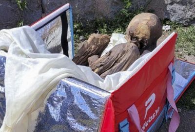 Peru police find pre-Hispanic mummy in ex-delivery man's bag