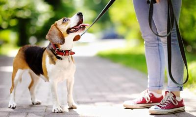 Walking just 11 minutes a day could stop 10% of early deaths, researchers find