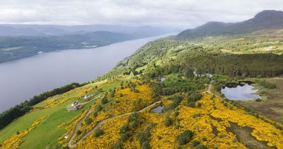 Highlands Rewilding succeeds in Tayvallich Estate fundraise