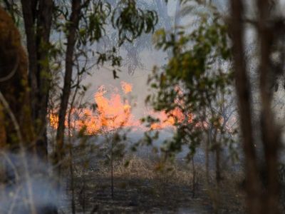 Large, fast fire threatens properties in western Qld