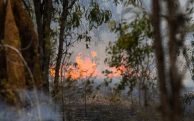 Large, fast fire threatens properties in western Queensland