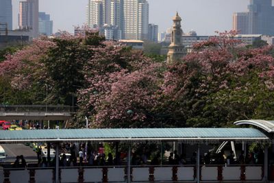 Joint business group maintains growth outlook