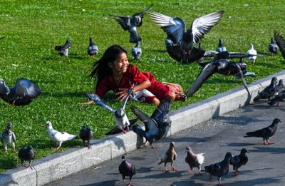 Cambodia: No human-to-human bird flu transmission found