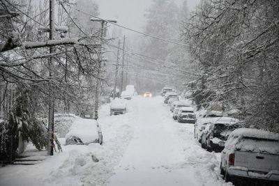 California, beleaguered by earlier storms, gets fresh snow