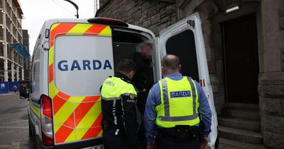 We went on patrol with gardai in Dublin city as they tackled street drug dealers, thieves and violent thugs