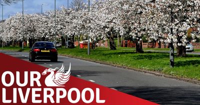 Our Liverpool: pinch, punch.. it's the first day of March already