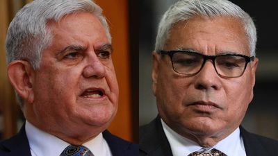 Ken Wyatt calls on Peter Dutton to give Liberals a conscience vote on the Voice to Parliament