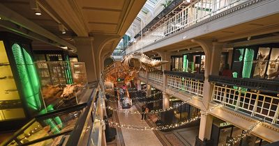 Manchester Museum draws in staggering number of visitors on re-opening week
