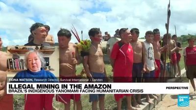 Illegal gold mining: A disaster for the Yanomami people of Brazil's Amazon rainforest