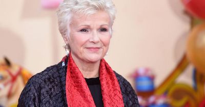 Dame Julie Walters drops Channel 4 filming commitments due to health concerns