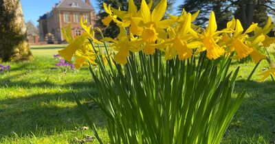 When is the first day of spring and when do clocks go forward in 2023?