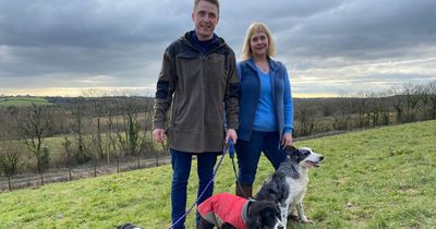 The fully enclosed 'freedom' field in Wales where your dog can run about to their heart's content