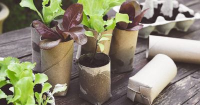 Ways to be less wasteful in the garden