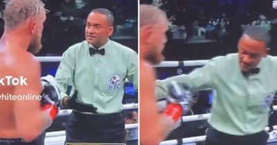 Jake Paul humiliated by referee's brutal question during Tommy Fury fight