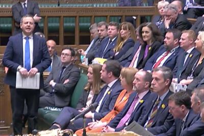 Why are MPs wearing daffodils at PMQs?