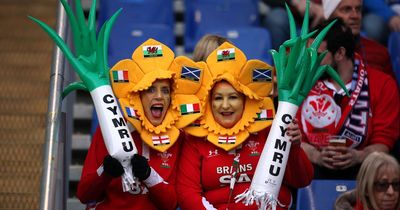 Why do we wear daffodils and leeks on St David's Day?