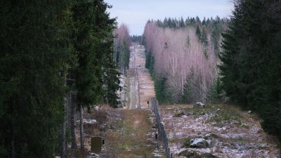 Finland begins building fence on border with Russia as MPs vote to join NATO