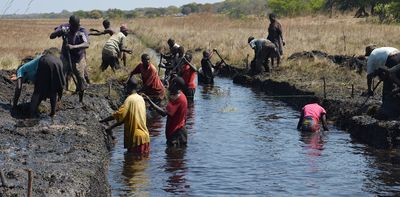 A history of Zambia's green policies shows why environment and development must go hand in hand