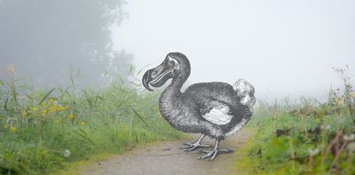 Should we bring back the dodo? De-extinction is a feel-good story, but these high-tech replacements aren’t really ‘resurrecting’ species