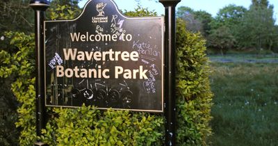 Warning as used needles and condom wrappers found in park