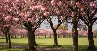 When do the clocks go forward and when does spring begin in the UK?