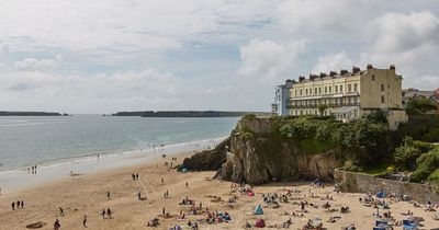 Number of rats in Tenby cliff-face above beach 'could make it unstable'