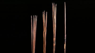 Spears taken by Captain Cook in 1770 to be returned to Sydney's La Perouse Aboriginal community