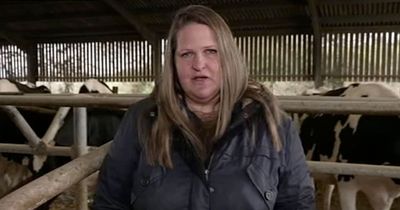 Clarkson's Farm dairy farmer overwhelmed as fans donate £34,000 to help TB-struck business