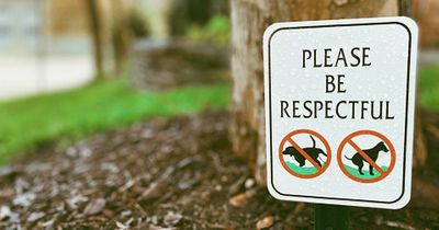 Dog fouling fines increased to £200 in Ards and North Down