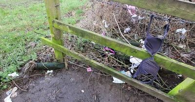 Woman's fury as 'quiet' Leeds area turns into 'filthy' dogging hotspot littered with condoms and underwear