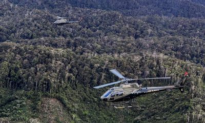 Scientists prove clear link between deforestation and local drop in rainfall