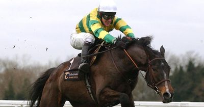 France double Cheltenham Stayers' Hurdle challenge inspired by all-time great Baracouda