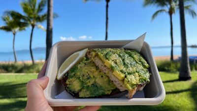 Australia's largest Kensington Pride mango grower diversifying into new avocado varieties