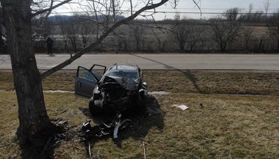 Gurnee man drives into tree while arguing with passenger in Beach Park