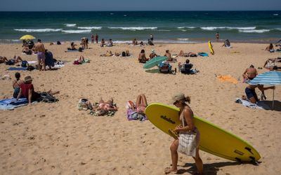 Manly Beach swimmers evacuated as bull shark lurks in waters