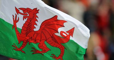 WalesOnline St David's Day state of the nation survey 2023: What people think of the Welsh Government, the Prince of Wales and the NHS
