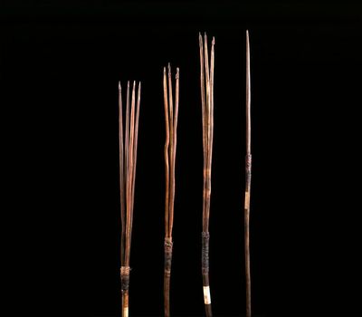 Spears stolen by Captain Cook from Kamay/Botany Bay in 1770 to be returned to traditional owners