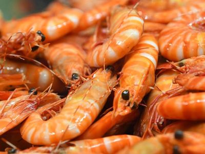 White spot outbreak forces partial prawn lockdown