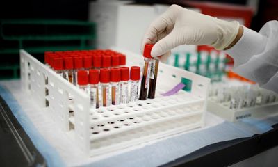 ‘It’s gamified’: inside America’s blood plasma donation industry