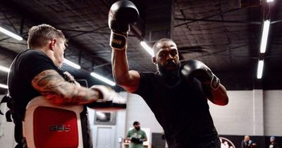 Jon Jones has been knocking out training partners ahead of UFC title fight