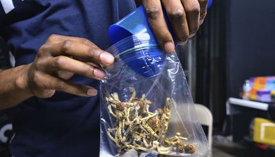 To treat severe mental illness, Illinois should allow supervised use of ‘magic mushrooms’