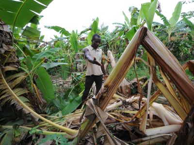 Climate change is fueling more conflict between humans and wildlife