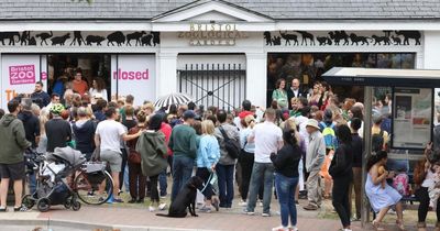 Save Bristol Zoo protest march ahead of planning D-Day