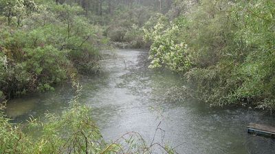 Alcoa pipeline a 'real' chance of leaking toxic chemicals into drinking water dam, says WA environment regulator