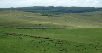 Another 'phallic symbol' found near Hadrian's Wall in Northumberland by archaeologists