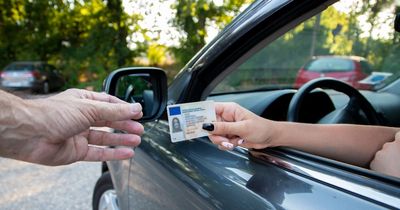 New EU digital driving licence will see disqualifications apply across the bloc