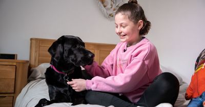 The hero dog helping a little girl battle cancer, that also took time out to save her dad's life